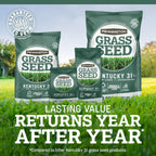 Pennington Kentucky 31 Tall Fescue Grass Seed, Drought-Resistant, 7 LB