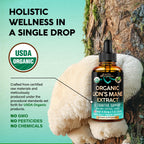 Lions Mane Liquid - USDA Certified Organic Lions Mane Supplement - Brain Support, Energy, Memory & Focus - Sugar & Alcohol-Free Lion's Mane Mushroom Extract 144,000 mg / Bottle, 4fl oz, 4 Month Supply