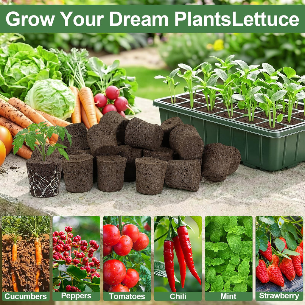 Upgrade Grow Sponges with Tray, 24 Pack Seed Starter Pods & Starter Plugs for Cuttings, Hydroponic Grow Sponges for Seed Starting, Plant Plugs for Herbs Vegetables Flowers, Easy Transplant Rooter Pods