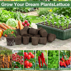 Upgrade Grow Sponges with Tray, 24 Pack Seed Starter Pods & Starter Plugs for Cuttings, Hydroponic Grow Sponges for Seed Starting, Plant Plugs for Herbs Vegetables Flowers, Easy Transplant Rooter Pods