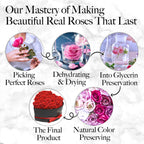 GLAMOUR BOUTIQUE Preserved Flowers, 16 Forever Red Roses in Heart Gift Box