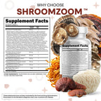 Clean Nutraceuticals Lions Mane 20in1 Mushroom Supplement with Turkey Tail Reishi Cordyceps Chaga Maitake Meshima Poria Cocos Shiitake Oyster Porcini Enoki - 2Pack