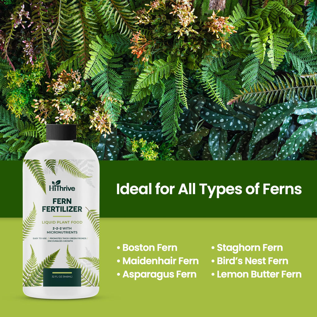 32oz Fern Fertilizer - Makes 64 Gallons of Fertilizer for Ferns, Nutrient-Rich Indoor Plant Food for Greener Growth and Dense, Resilient Fronds with Intricate Texture - Ideal for All Fern Plant Live