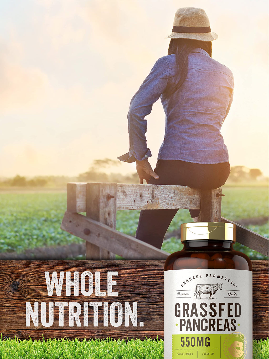 Carlyle Grass Fed Beef Pancreas | 550mg | 200 Capsules