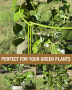 10-Pack Plant Support Stakes, Heavy Duty Steel Plant Stakes as Monstera Plant Support & Peony Cages, Metal Garden Stakes for Indoor Outdoor Plants, Snake Plant & Vine Support, 10" W x 15.8" H