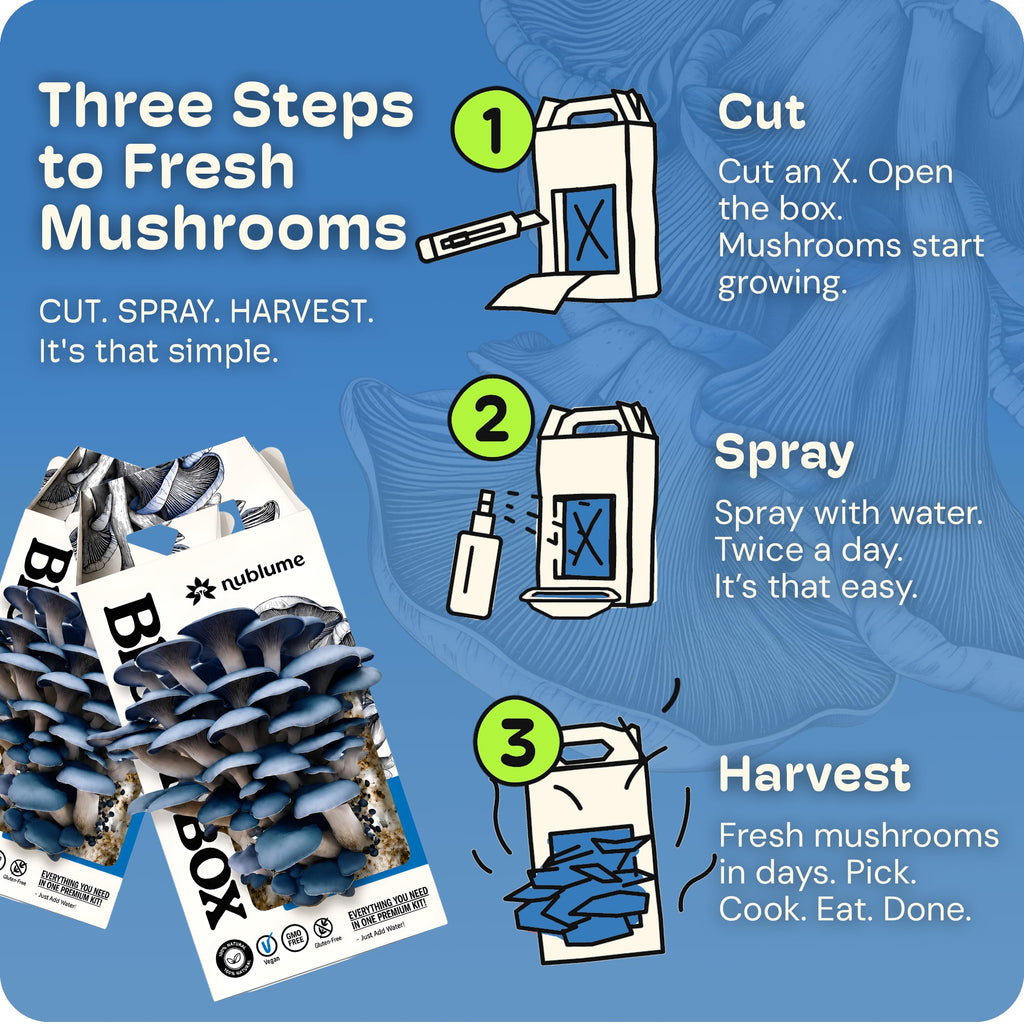 BloomBox Blue Oyster Mushroom Grow Kit – Spray & Grow – Pre-Inoculated Indoor Mushroom Farm – Beginner Friendly – Harvest Fresh Gourmet Mushrooms in Days – Perfect Gift