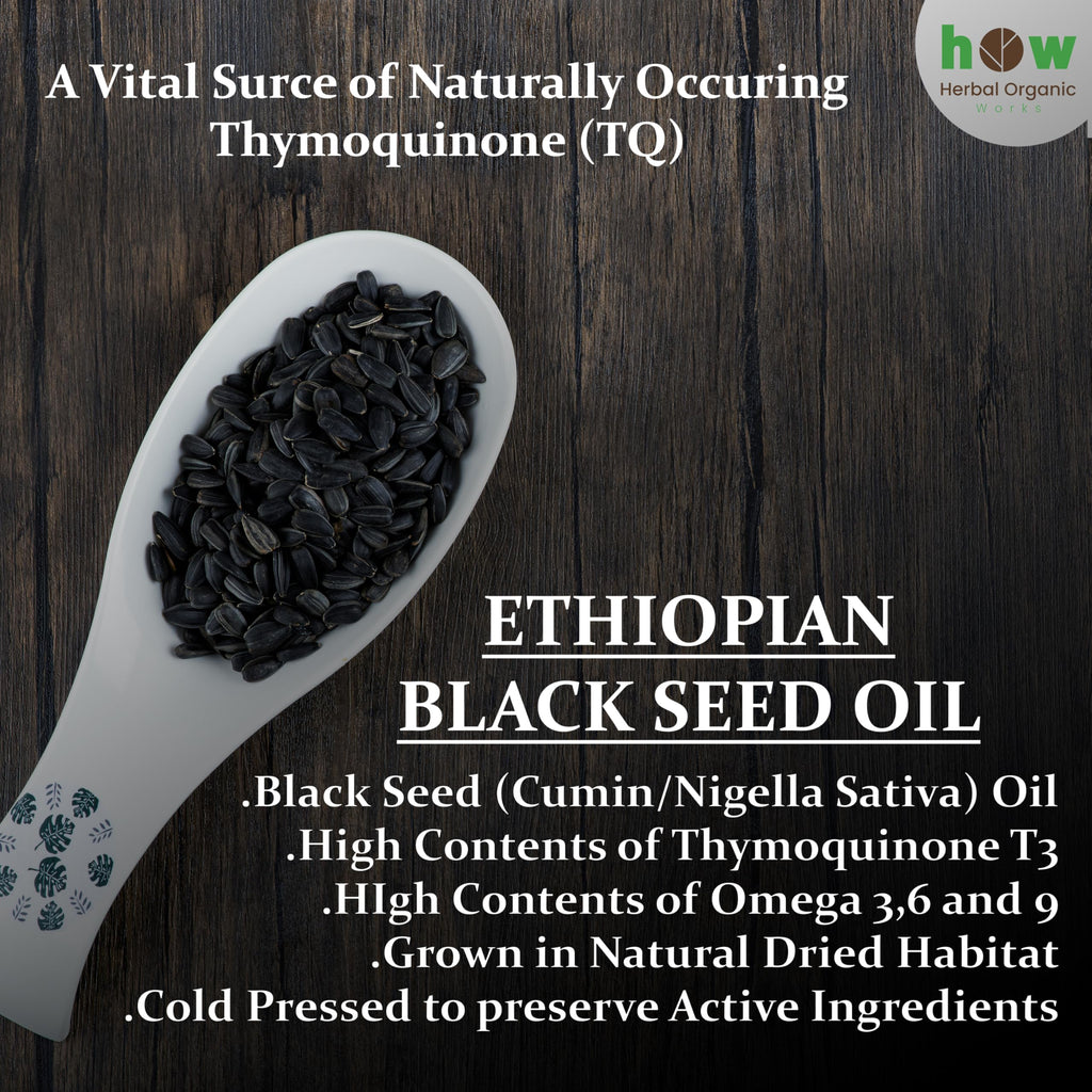 Ethiopian Black Seed Oil 16oz – Cold Pressed Nigella Sativa | High Thymoquinone 3.45% Black Cumin Seed Oil | 100% Pure Unrefined Liquid | Immune, Skin, Hair & Digestive Support | Large Glass Bottle