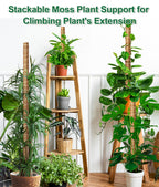 EAONE 96'' Moss Pole for Plants Indoor, 6 Pack 16” Monstera Plant Support Moss Stick for Climbing Plants, Stackable Coir Totem Pole Monstera Stakes with 12 Plant Labels & 100 Ties for Potted Plants
