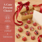 WRITWAA 12 Pcs Ladybug Brooch Pins Set for Women and Girls