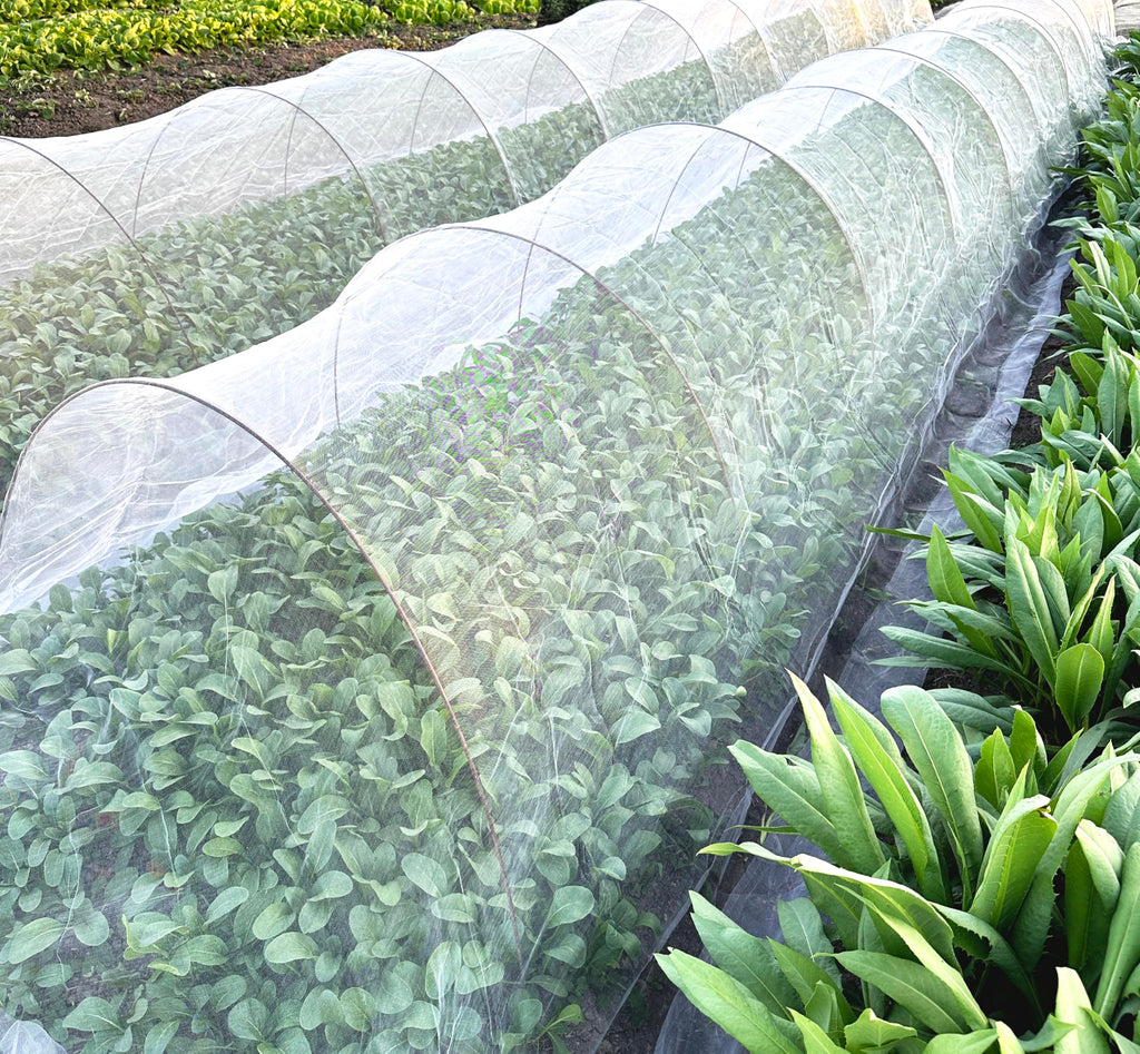 2PCS Insect Netting -10x43FT Fine Mesh Garden Protection Netting for Vegetables Plants Flowers Crops,Row Covers for Raised Bed from Birds Deer Squirrels Barrier Pest