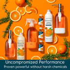 Grove Co. Glass Cleaner, Refill Concentrate (6 x 1 Fl Oz) Streak Free, Plant-based Household Cleaning Supplies, No Plastic Waste, Orange & Rosemary Fragrance, 3 x 2 Pack Refills
