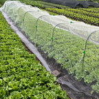10 Sets Garden Hoops for Raised Bed, Greenhouse Hoops with 30 Clips Detachable Garden Hoops for Netting DIY Grow Tunnel Hoops for Vegetable and Plant, Greenhouse Support Frame Hoops