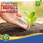 Triple Super Phosphate 0-46-0 Fertilizer Made in USA - Bloom Booster - TSP Pure Phosphorus Plant Food for Plants & Flower Gardens - Fruit, Vegetables