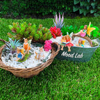 Mood Lab Fairy Garden Figurines - Fairy Statue Set (6 pcs) - Miniature Decorative Statues & Accessories - Outdoor & Indoor Garden Decor