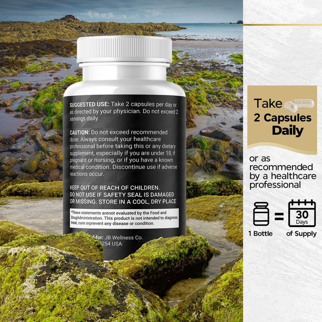Sea Moss Black Seed Oil Ashwagandha Turmeric Bladderwrack Burdock - with Manuka, Honey Dandelion, ACV Black Pepper Gluten Free - 60 Count