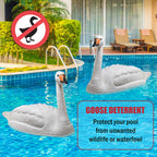 Swan Decoys for Geese Large Floating Swan Decoy for Pool Pond & Lake 2 Pack