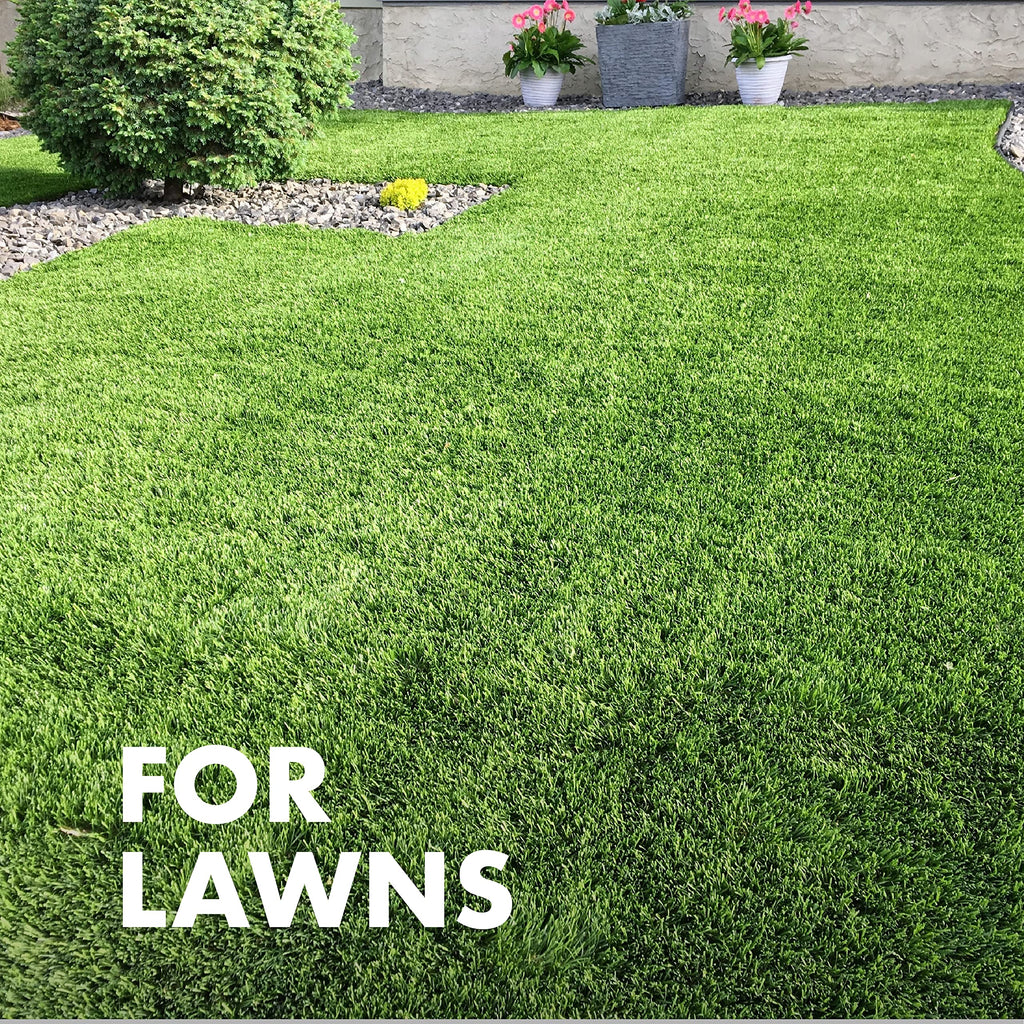 Spectracide Immunox Fungus Plus Insect Control For Lawns 32 Ounces, Dual Action, Hose-End Concentrate, Clear/Light Yellow