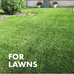 Spectracide Immunox Fungus Plus Insect Control For Lawns 32 Ounces, Dual Action, Hose-End Concentrate, Clear/Light Yellow