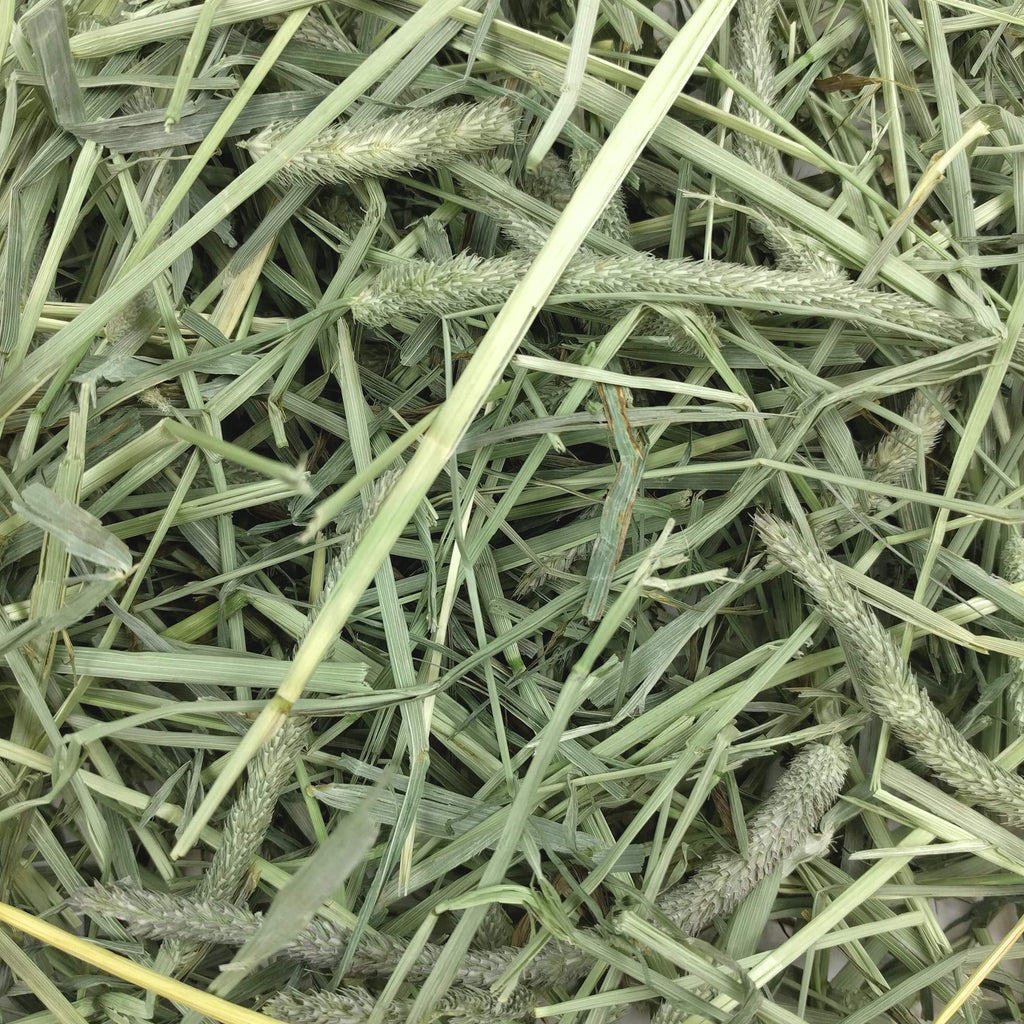 Oxbow Western Timothy Hay, Rabbit & Guinea Pig Hay, High Fiber, USA, 90 oz