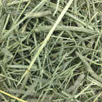 Oxbow Western Timothy Hay, Rabbit & Guinea Pig Hay, High Fiber, USA, 90 oz