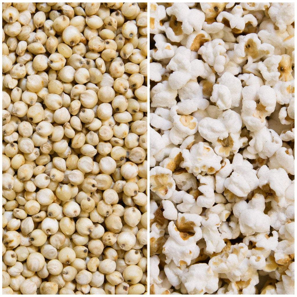 Nature Nate’s Popped Sorghum, Avocado Oil Sea Salt - Organic Sorghum, Keto & Gluten Free, Whole 30, Healthy Snacks, Better Than Popcorn, Made in USA - 5 Ounce