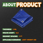 RAINDEWAY Small Tarps 5x5 Feet (2 Pack) 5 Mil Thick Waterproof Blue Tarp Multipurpose Tear Resistant Poly Tarp Cover for Roof Camping Car Patio