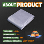 RAINDEWAY Tarps - 20x30 Feet, 5.5 Mil Thick, Multipurpose Waterproof Poly Tarp Cover with Metal Grommets and Reinforced Edges, Silver/Blue Large Tarp