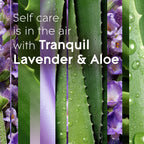 Glade PlugIns Refills Air Freshener,Tranquil Lavender & Aloe,Scented and Essential Oils for Home and Bathroom,0.67 Fl Oz,10 Count (Pack of 2)
