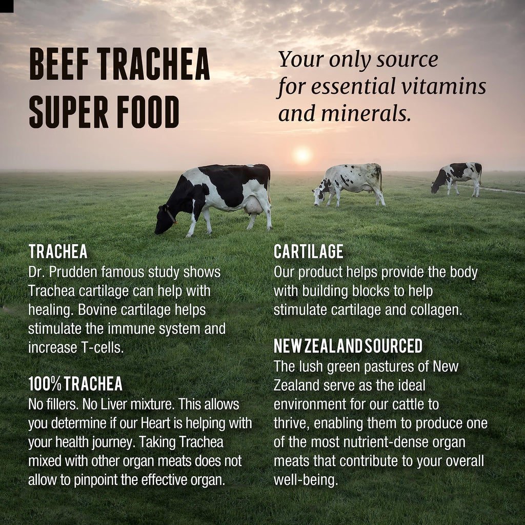 Grass Fed Beef Trachea - New Zealand Sourced Trachea. 3,000mg per Serving, 200 Count