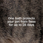 ADAMS Plus Flea & Tick Shampoo with Precor for Dogs & Cats, 24 oz