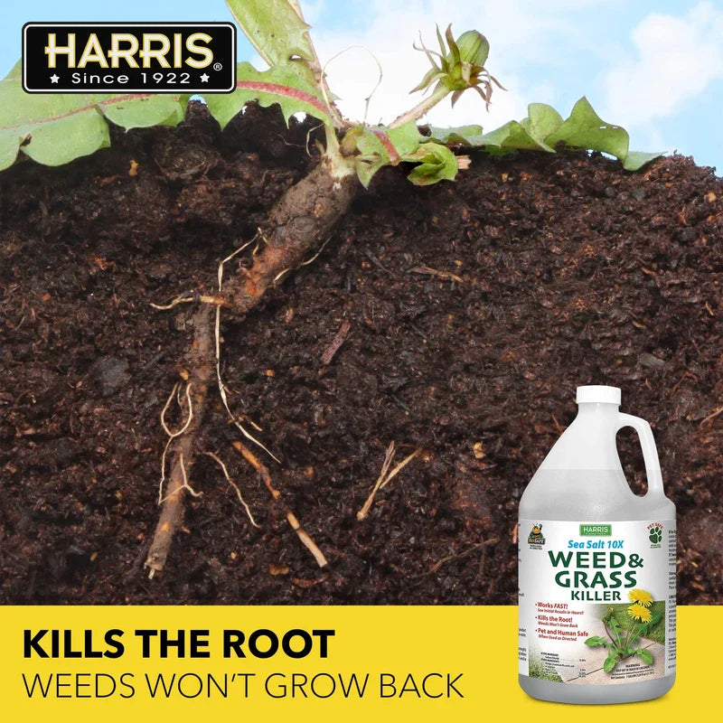 Harris 10X Sea Salt Grass Killer, Pet Safe, Kills to The Root with Spray Trigger, 128oz