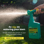 Sunday Weed & Green - Weed and Feed for Lawns - Pre-Emergent & Post-Emergent Weed Killer Spray - Includes Hose-End Sprayer - For Crabgrass, Broadleaf Weeds & Lawn Diseases - Covers 1,250 sq ft - 32 oz