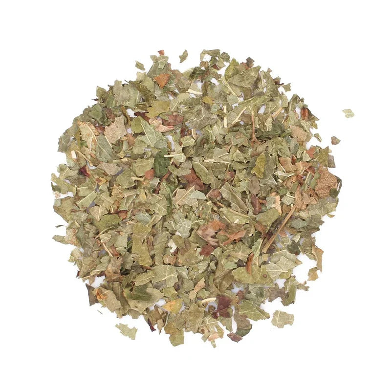 Blackcurrant Leaf Tea Infusion 50g - Ribes Nigrum Black Currant - Herbal Remedies by J. - Czarna porzeczka lisc