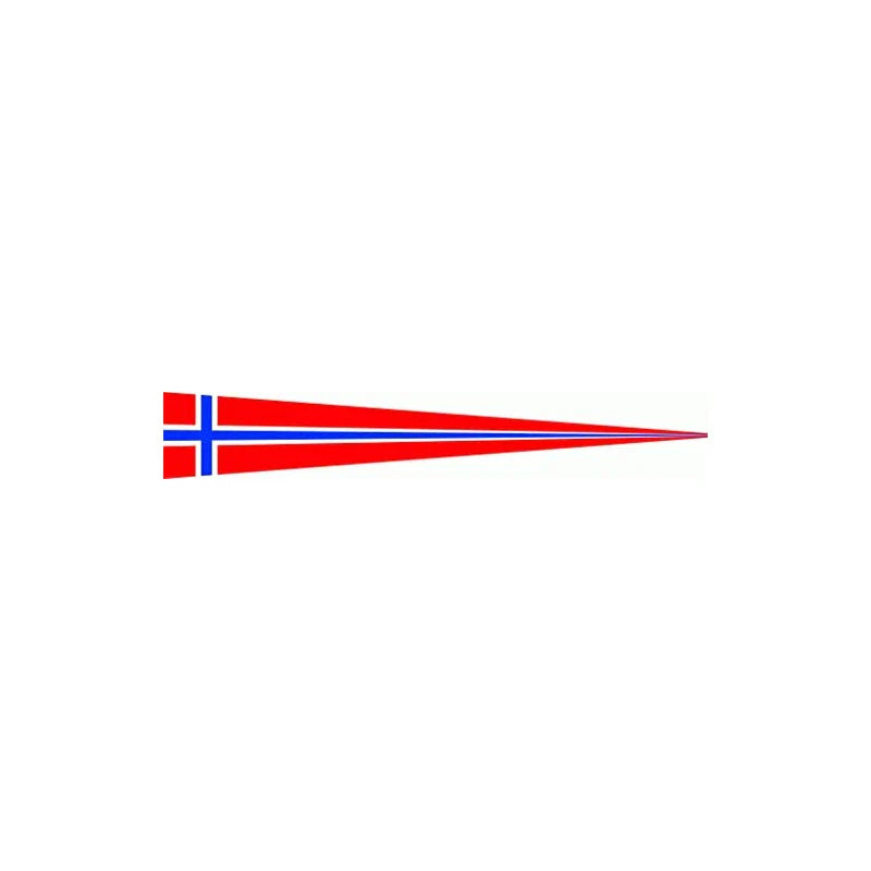 Norway Flag Flag