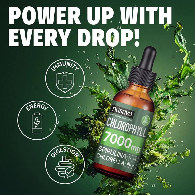(2-Pack) Vegan Liquid Chlorophyll Drops 7000mg – Natural Supplement for Immune Support, Energy, Digestion, Detox & Skin Health, Mint Flavor