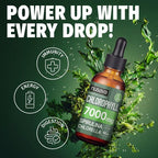 (2-Pack) Vegan Liquid Chlorophyll Drops 7000mg – Natural Supplement for Immune Support, Energy, Digestion, Detox & Skin Health, Mint Flavor