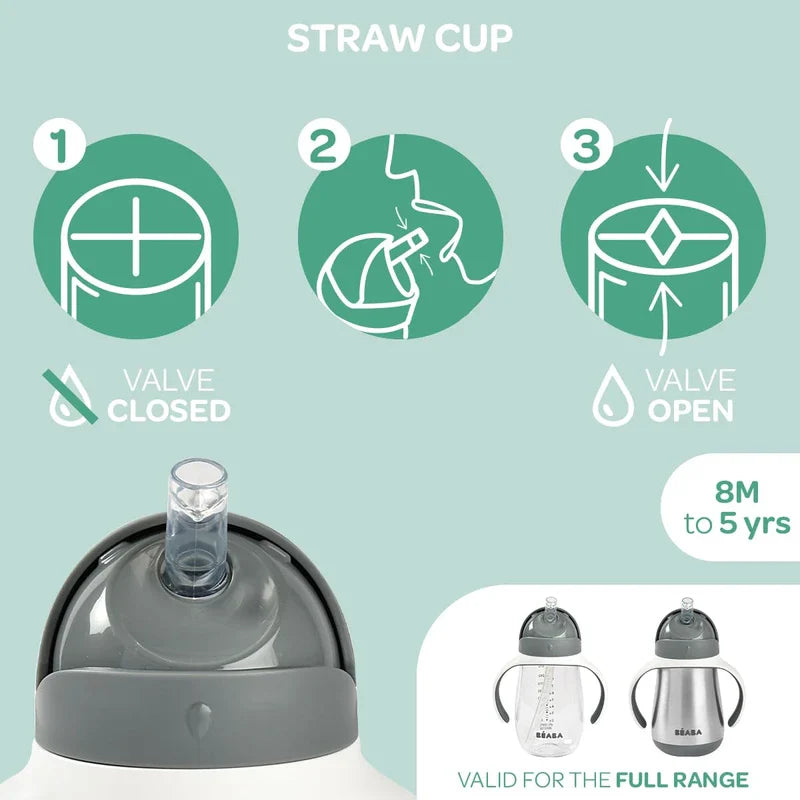 Beaba Stainless Steel Straw Sippy Cup, Insulated Toddler Cups Spill Proof with Removable Handles, Made with High Grade Stainless Steel, 8+ Months, 8.5 oz, (Rain)