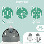 Beaba Stainless Steel Straw Sippy Cup, Insulated Toddler Cups Spill Proof with Removable Handles, Made with High Grade Stainless Steel, 8+ Months, 8.5 oz, (Rain)