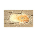 Alliance Gator Clean Rust Remover for Pavers 1 Quart