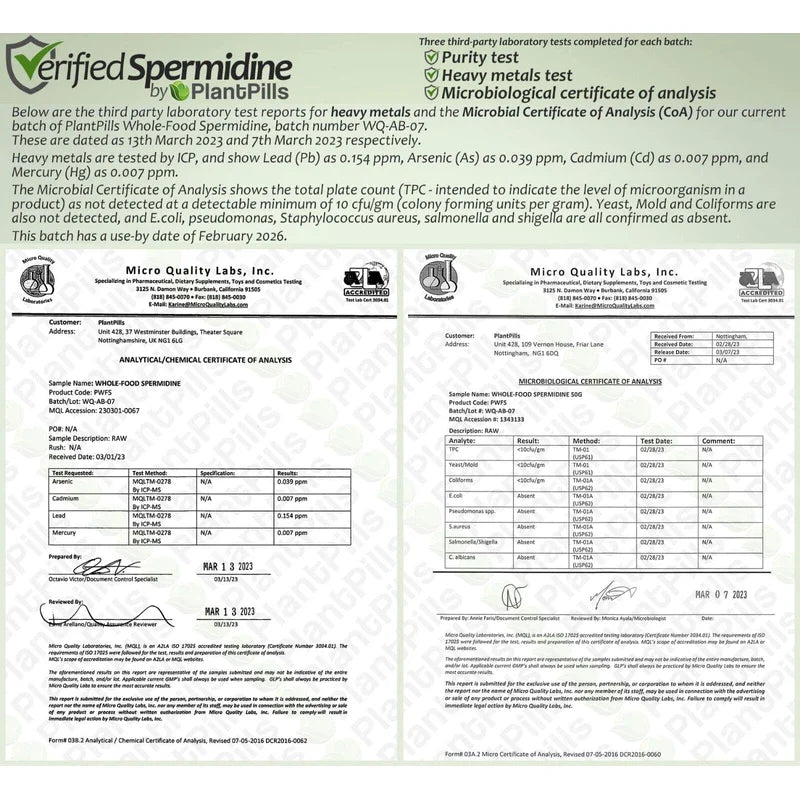 PlantPills 1kg PlantPills Whole Food Spermidine Powder Lab Verified at 240mg/250g