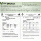 PlantPills 1kg PlantPills Whole Food Spermidine Powder Lab Verified at 240mg/250g