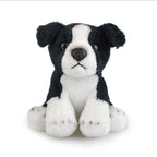 Douglas Chase Border Collie Dog Plush Stuffed Animal