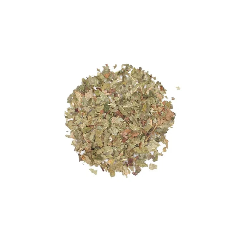 Blackcurrant Leaf Tea Infusion 50g - Ribes Nigrum Black Currant - Herbal Remedies by J. - Czarna porzeczka lisc