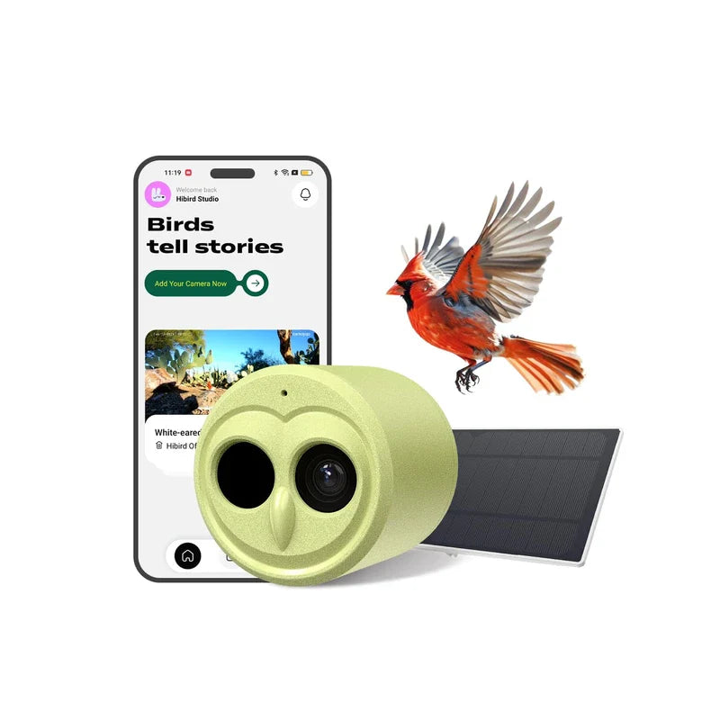 4K HD Bird Feeder with Camera Solar Powered, 2.4G/5G Dual WiFi Wireless, Auto Bird Video Capture, Instant Notifications, 360°Adjustable Bracket & 32GB EMMC, AI Identify 10000+ Species for Bird Lover