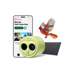 4K HD Bird Feeder with Camera Solar Powered, 2.4G/5G Dual WiFi Wireless, Auto Bird Video Capture, Instant Notifications, 360°Adjustable Bracket & 32GB EMMC, AI Identify 10000+ Species for Bird Lover