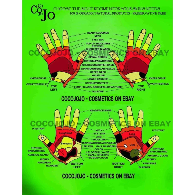 cocojojo Pure light emu oil blend with argan moroccan, jojoba, sweet almond massage oil - 128 oz / 1 Gallon