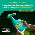 Sunday Weed & Green - Weed and Feed for Lawns - Pre-Emergent & Post-Emergent Weed Killer Spray - Includes Hose-End Sprayer - For Crabgrass, Broadleaf Weeds & Lawn Diseases - Covers 1,250 sq ft - 32 oz