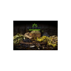 Blackcurrant Leaf Tea Infusion 50g - Ribes Nigrum Black Currant - Herbal Remedies by J. - Czarna porzeczka lisc