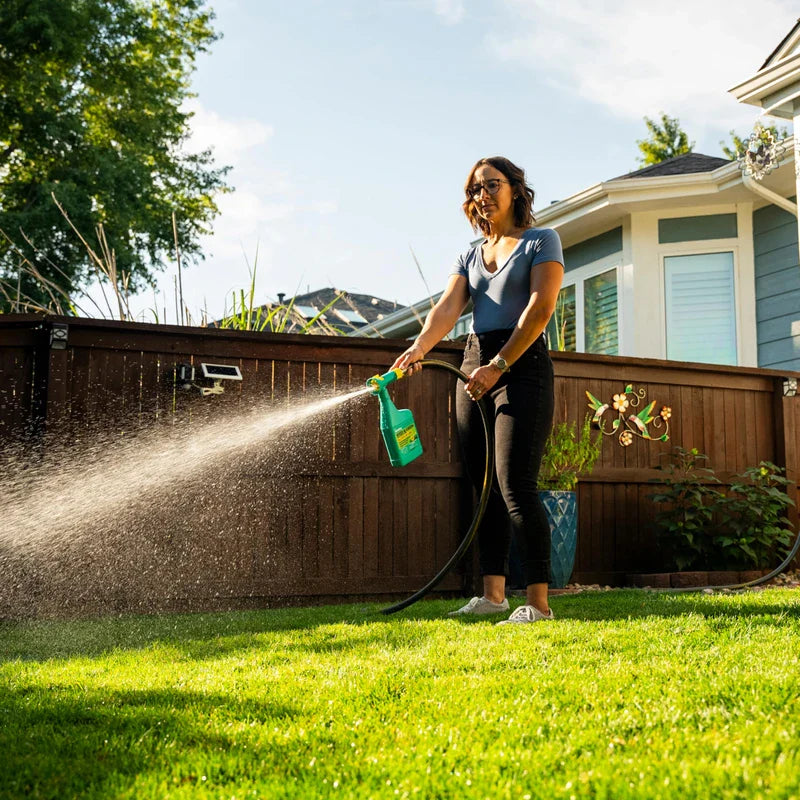 Sunday Weed & Green - Weed and Feed for Lawns - Pre-Emergent & Post-Emergent Weed Killer Spray - Includes Hose-End Sprayer - For Crabgrass, Broadleaf Weeds & Lawn Diseases - Covers 1,250 sq ft - 32 oz