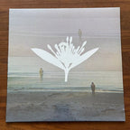 Copeland – Ixora Twin -  White LP Vinyl 180g Limited x/990 - New